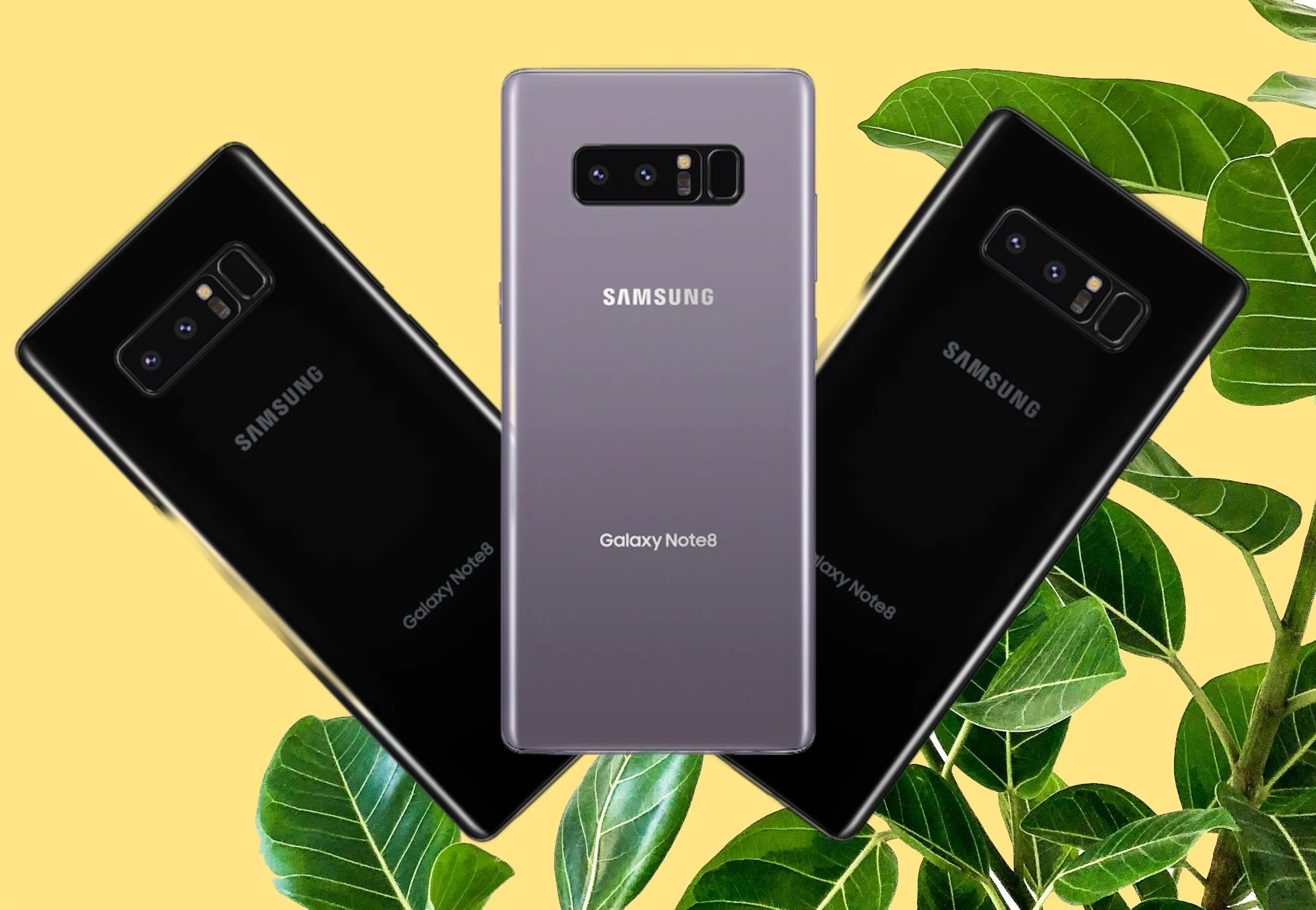 Is the Galaxy Note 8 Worth It in 2024? Absolutely Not VIVIDBAY