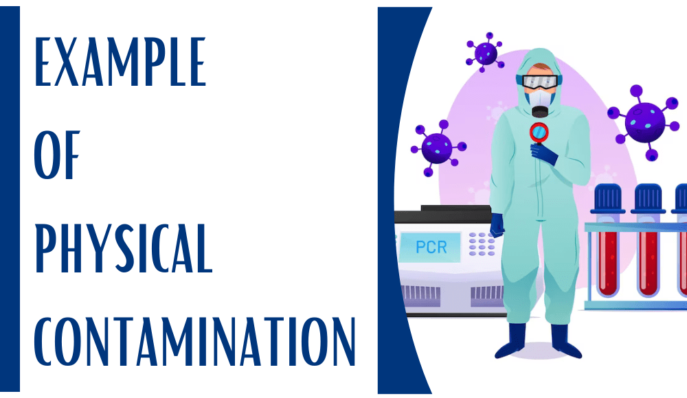 What is the Best Example of Physical Contamination