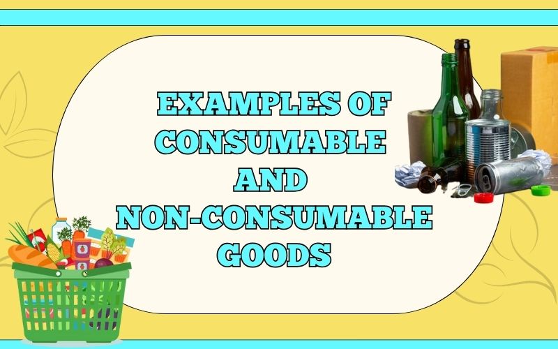 Examples of Consumable and NonConsumable Goods