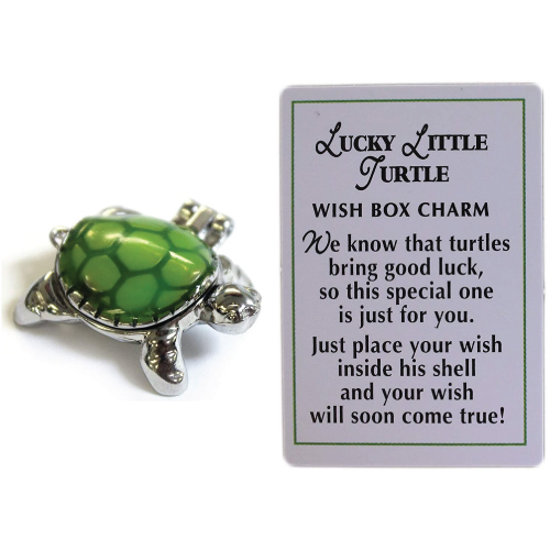 30 Unique Gift Ideas for Turtle Lovers in Your Life