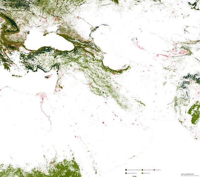 The World's Forests Mapped Vivid Maps