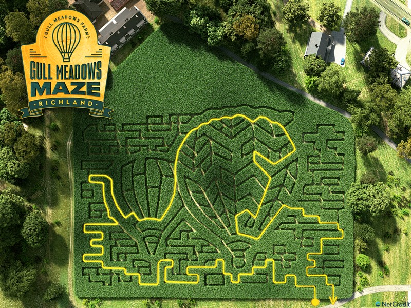 The Craziest Corn Mazes Across the U.S. Vivid Maps