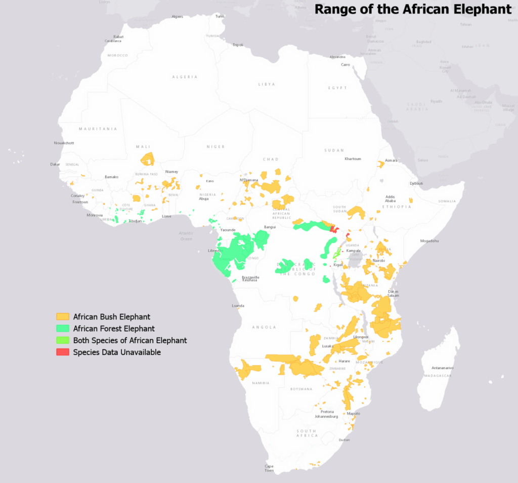 Modern and Historical range of the elephants Vivid Maps