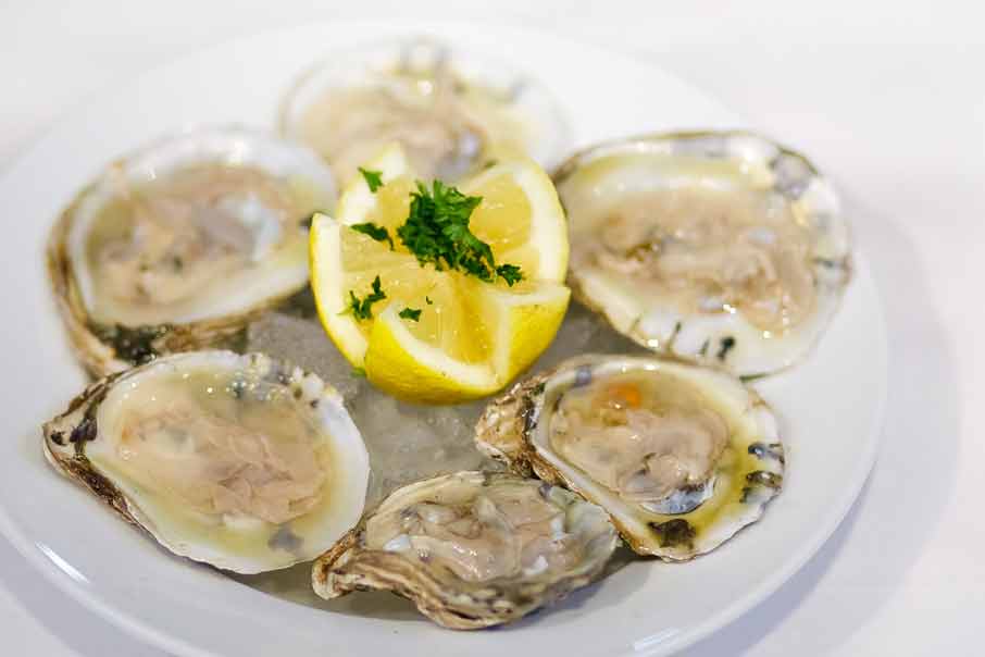 Vivolos Chowder House Local Seafood and Delicious Clam Chowder