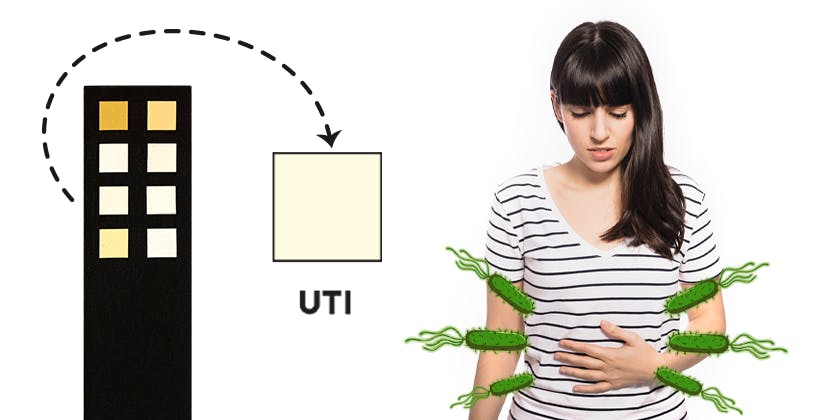How Can You Treat Your UTI AtHome? Vivoo Your Body's