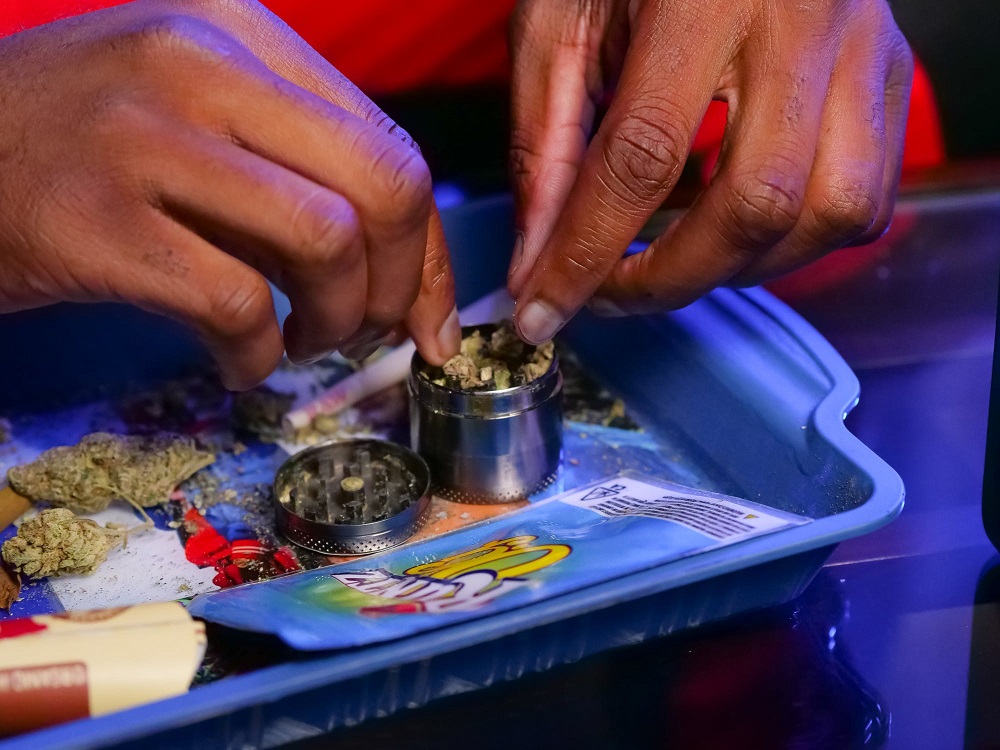 How to Grind Weed without a Grinder Vivosun