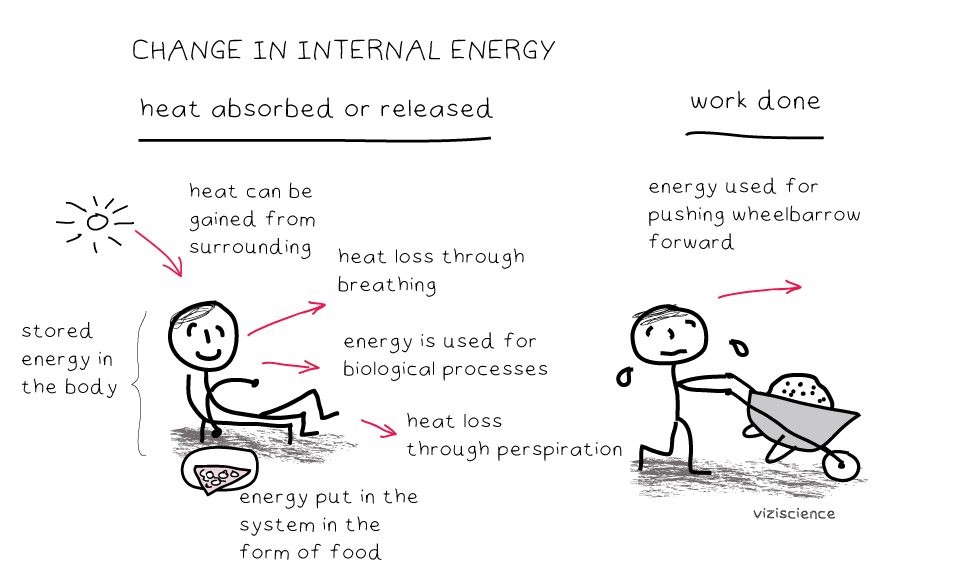 What is enthalpy change? VIZISCIENCE® INTERACTIVE LABS