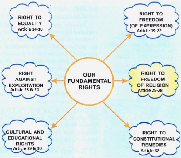 Fundamental Rights in India Vizmins