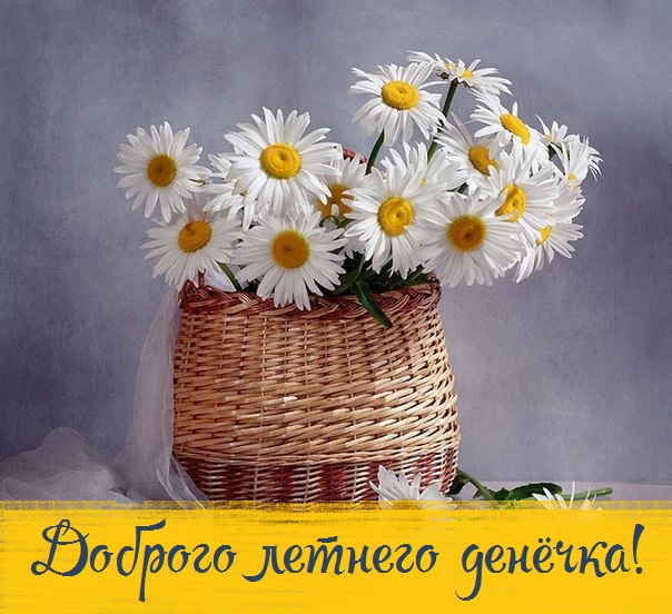 хорошего летнего дня картинки рисованные