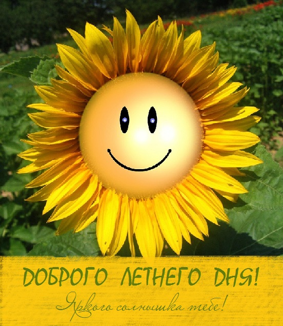 хорошего летнего дня картинки рисованные