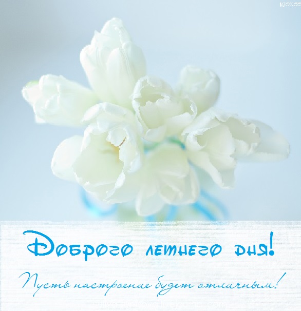 хорошего летнего дня картинки рисованные