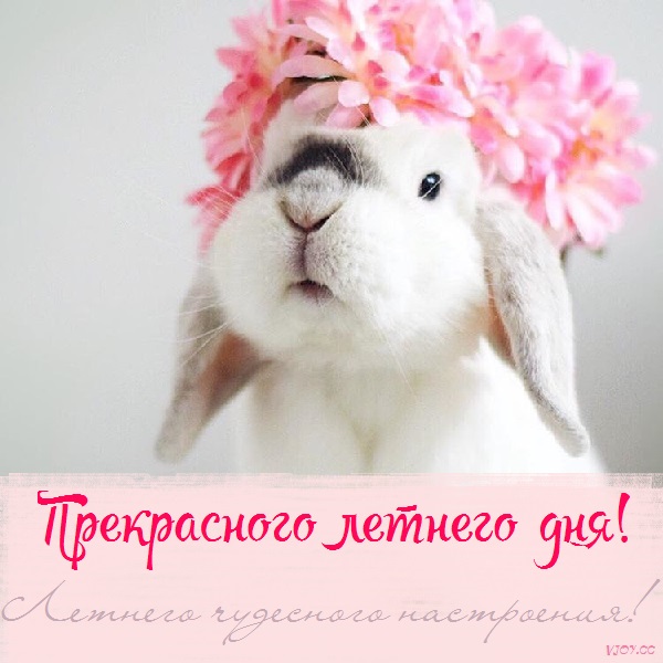 хорошего летнего дня картинки рисованные