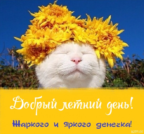 хорошего летнего дня картинки рисованные