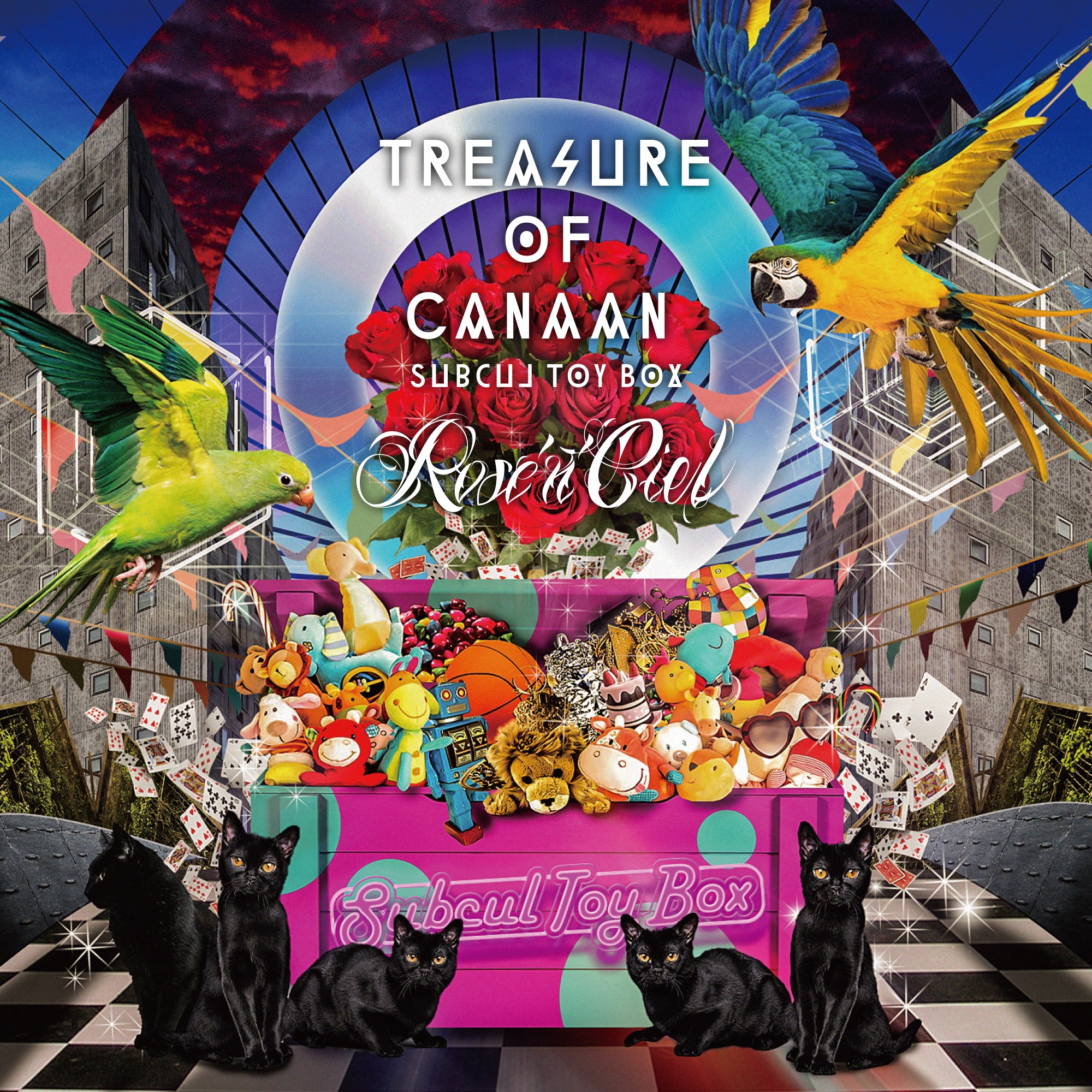 Treasure of Canaan Subcul Toy Box Rose'n'Ciel vkgy (ブイケージ)