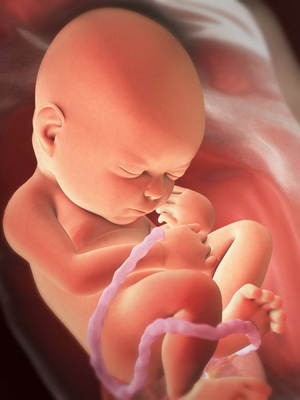 Formation Du Fœtus Dans Le Ventre Pendant Des Semaines Grossesse Pendant Des Semaines Developpement Du Fœtus Et Sensation D Une Femme Photo