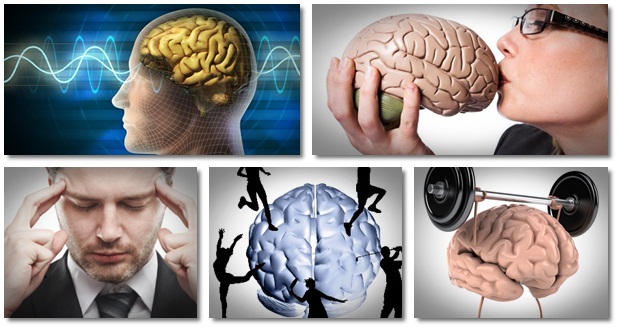 ClickBank Better Business Bureau® Profile