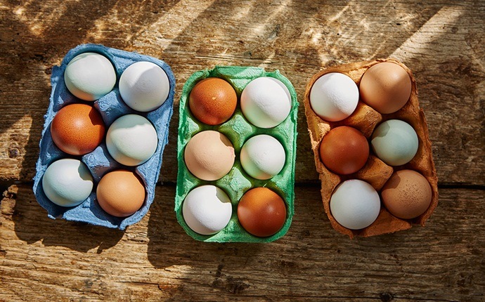 Top 10 foods to boost fertility naturally