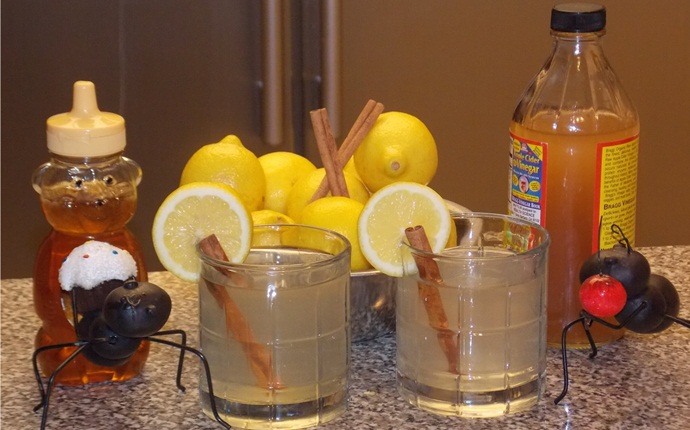 14 Useful Ways On How To Use Lemon For Acid Reflux