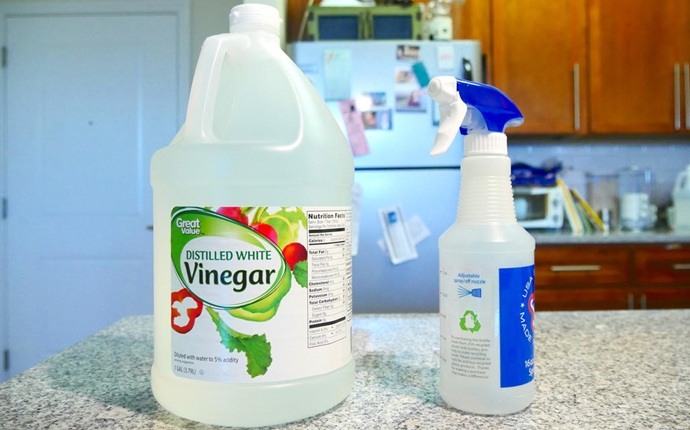 Expert Advice on How-to Remove Efflorescence Behr