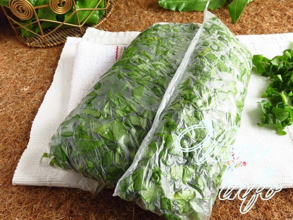 1464782831 7 можно ли использовать замороженный щавель