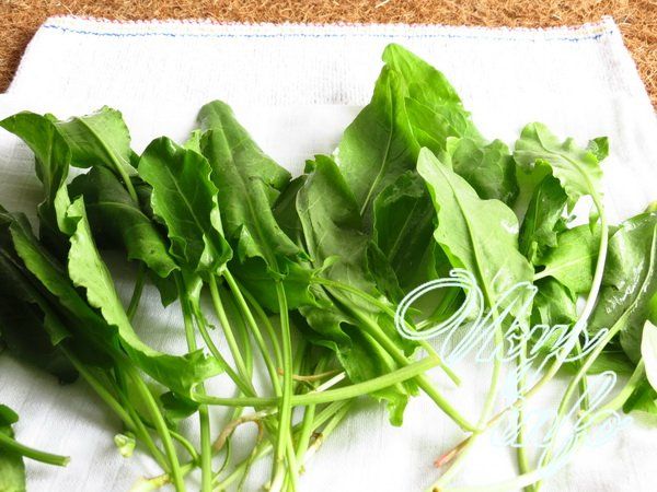 1464782859 2 можно ли использовать замороженный щавель