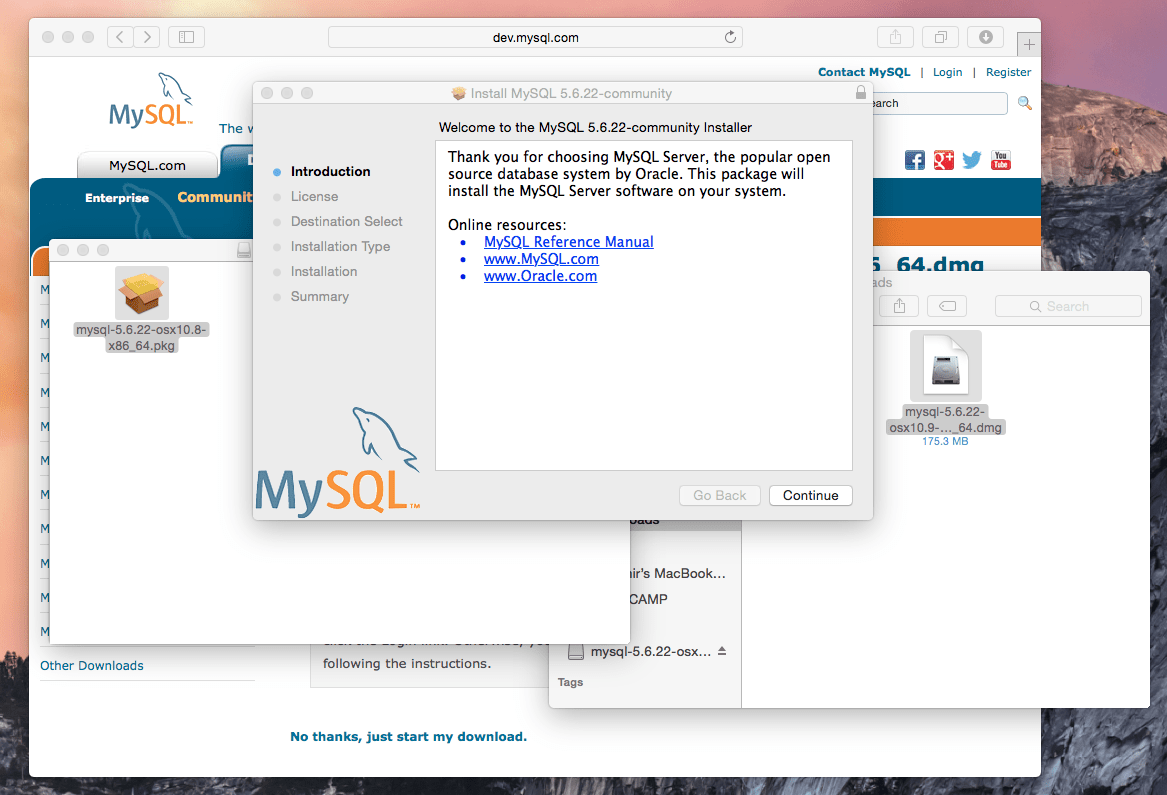 How install MySQL server on Mac OS Vladster