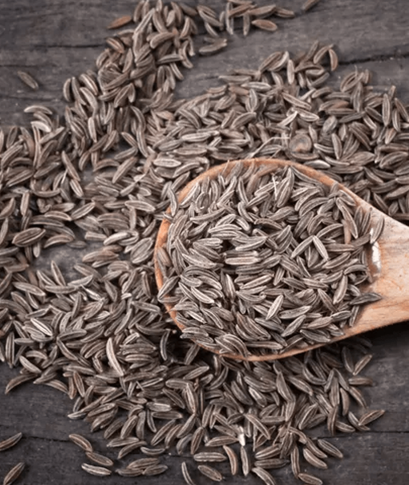 CUMIN SEEDS Indian Spices & Masala Manufacturers Bulk Whole Spices