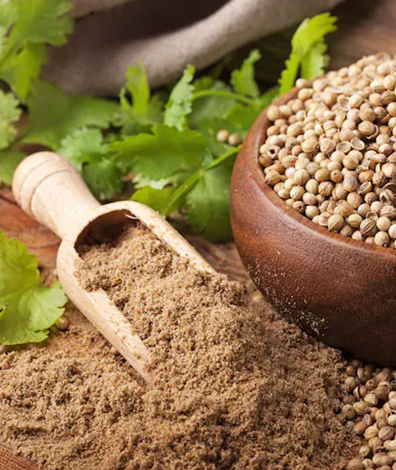Coriander powder manufacturers in india Dhaniya Powder VLC Spices