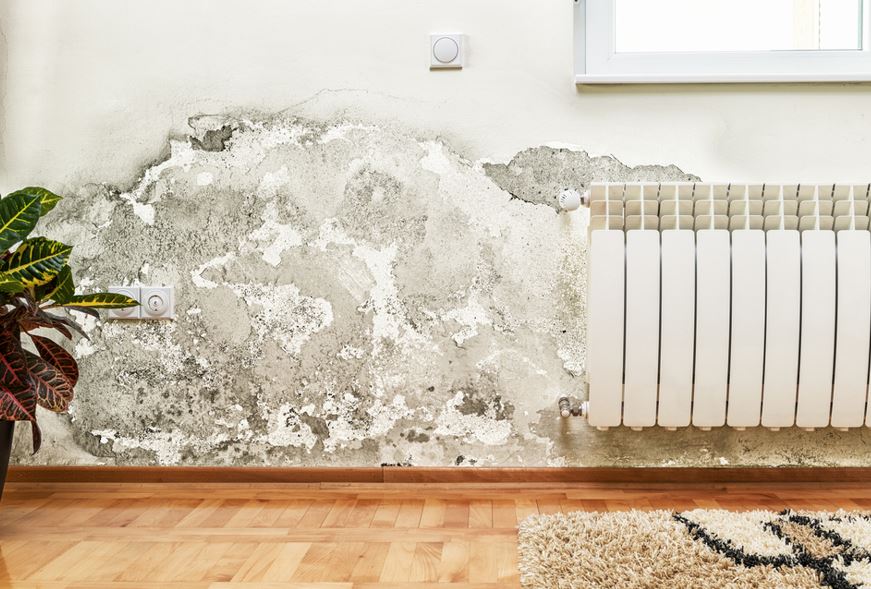 Three Signs Your Home Has Damp and How to Deal with it