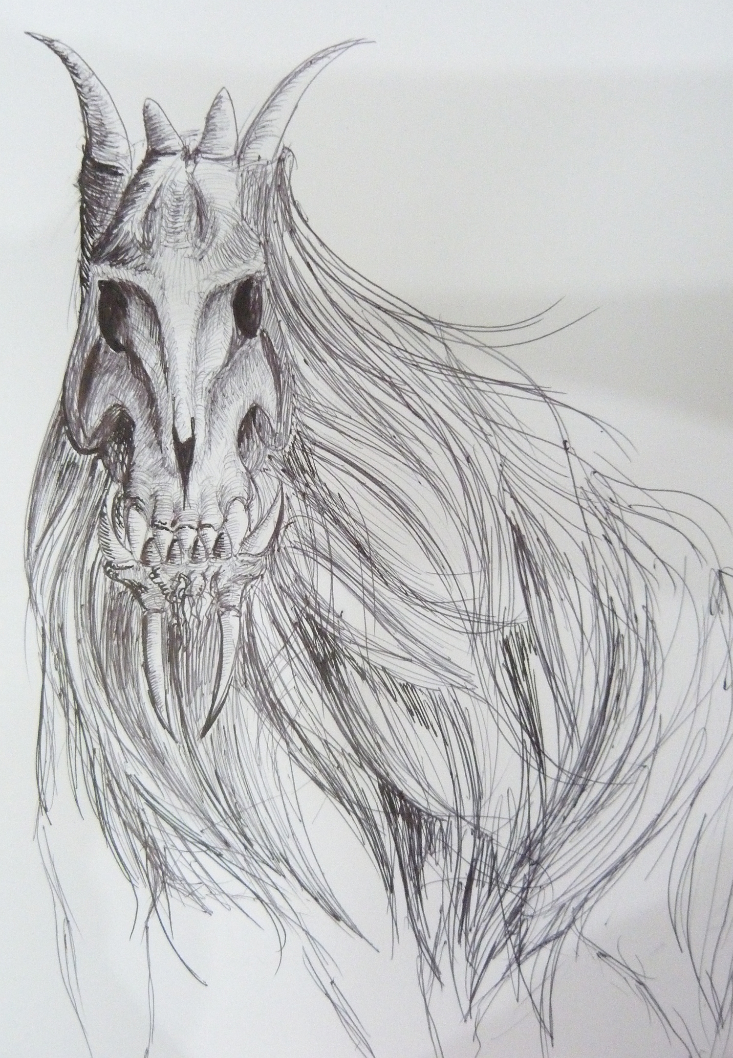 A Half Like Skull Horse Vlower