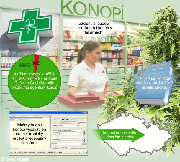 Prvni Dve Davky Lecebneho Konopi Si Z Lekarny Odnesli Revmatologicti Pacienti Brno