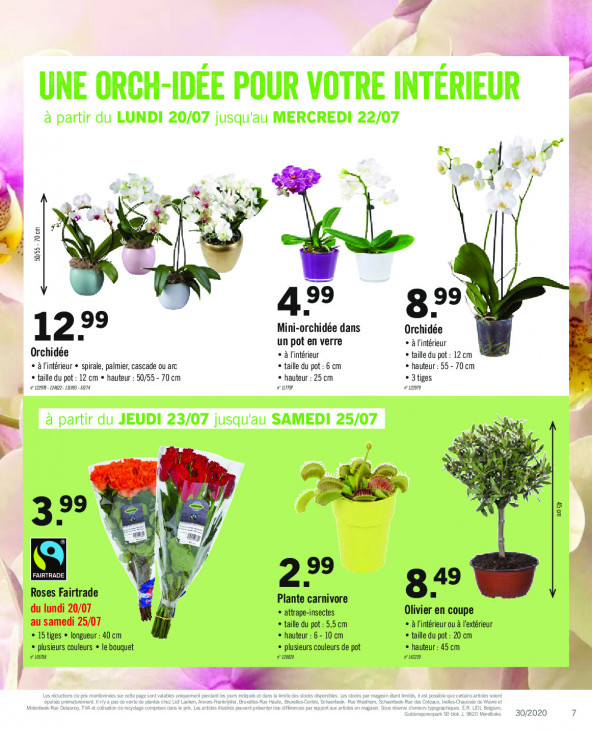 Lidl Dépliant du 20.07.2020 au 25.07.2020 Page 7