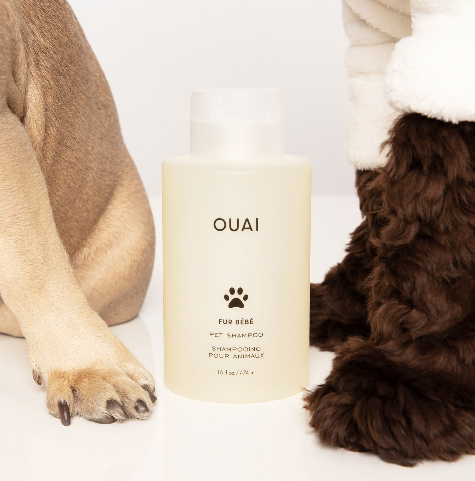 Ouai Brings Back its Beloved Pet Shampoo V Magazine