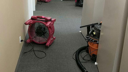 Carpet Cleaning Sydney Steam Cleaning Sydney Call 0470450390