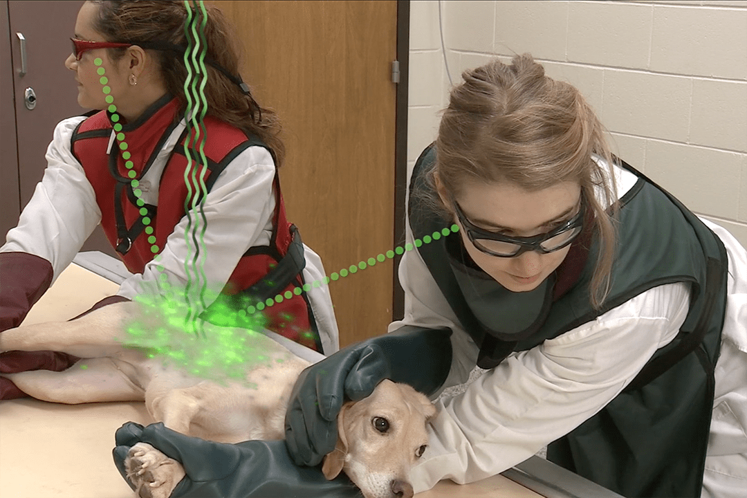 Video highlights radiation safety for veterinary workers Veterinary