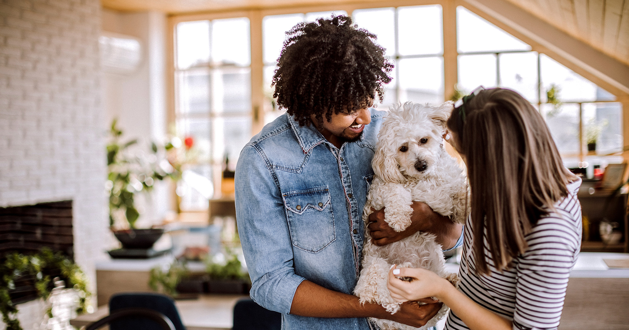 New Clients Veterinary Medical Center in Endwell 607 748 7489