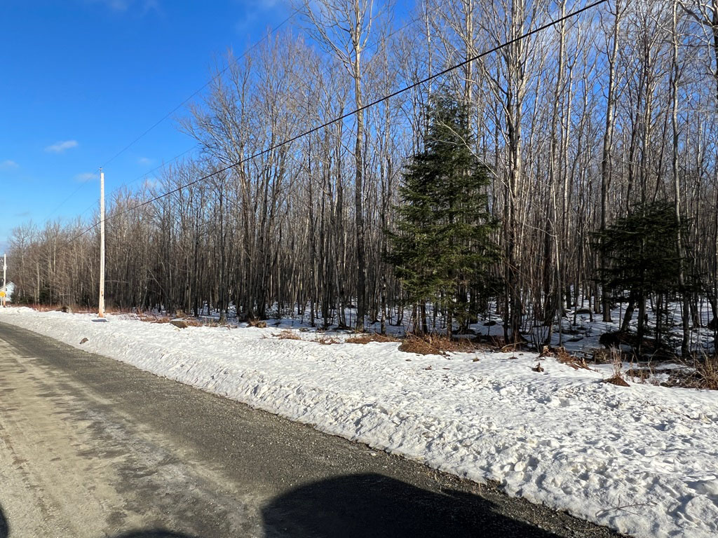 Val Racine, Estrie. Superbe terrain vacant bâtissable de 10.5 acres
