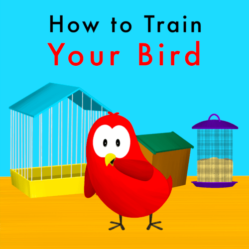 How to Train Your Bird