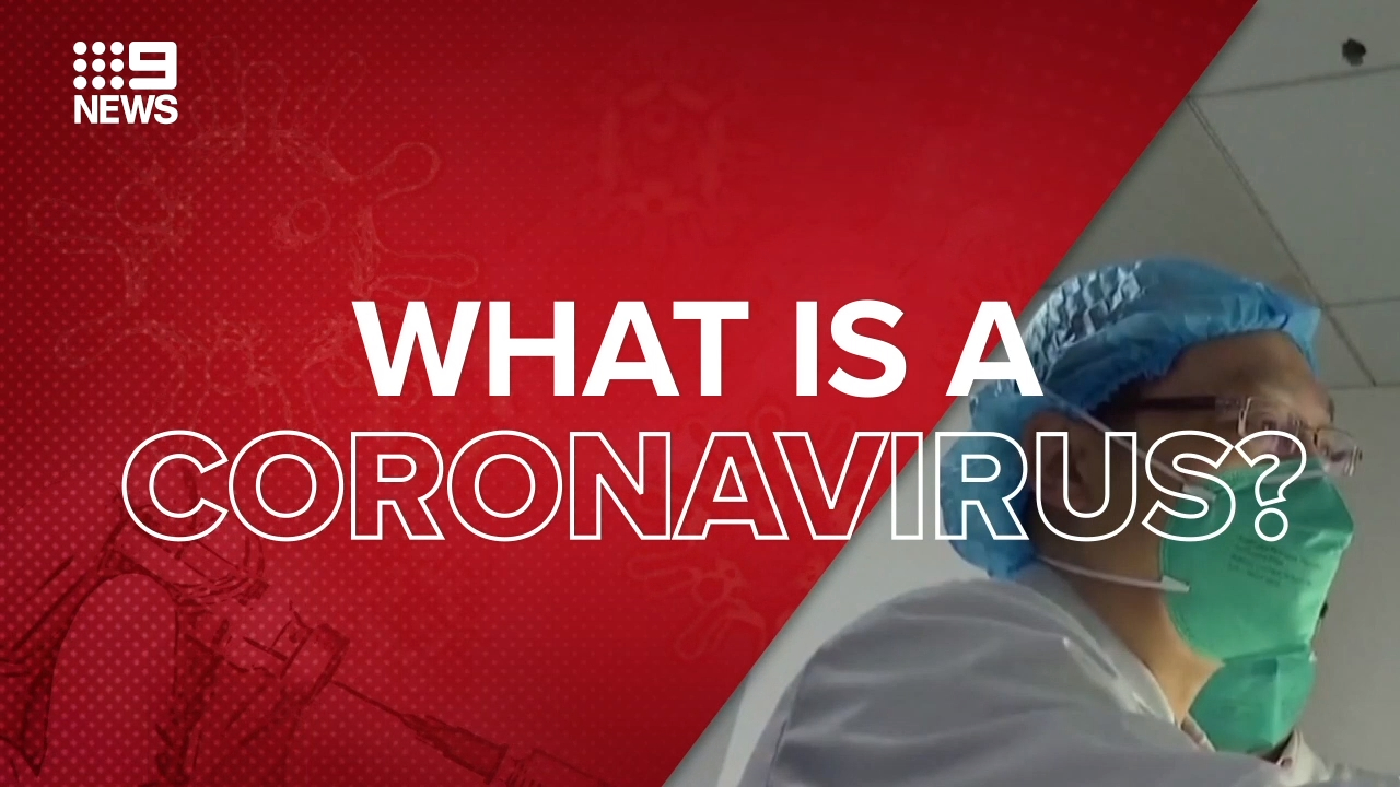1 new case in nsw. Millions in lockdown in China virus epidemic zones as two ...