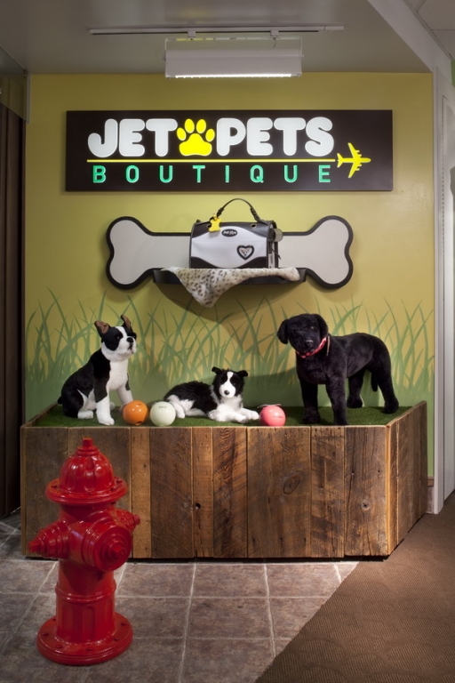 Jet Pets Boutique, Denver Visual Merchandising and Store Design
