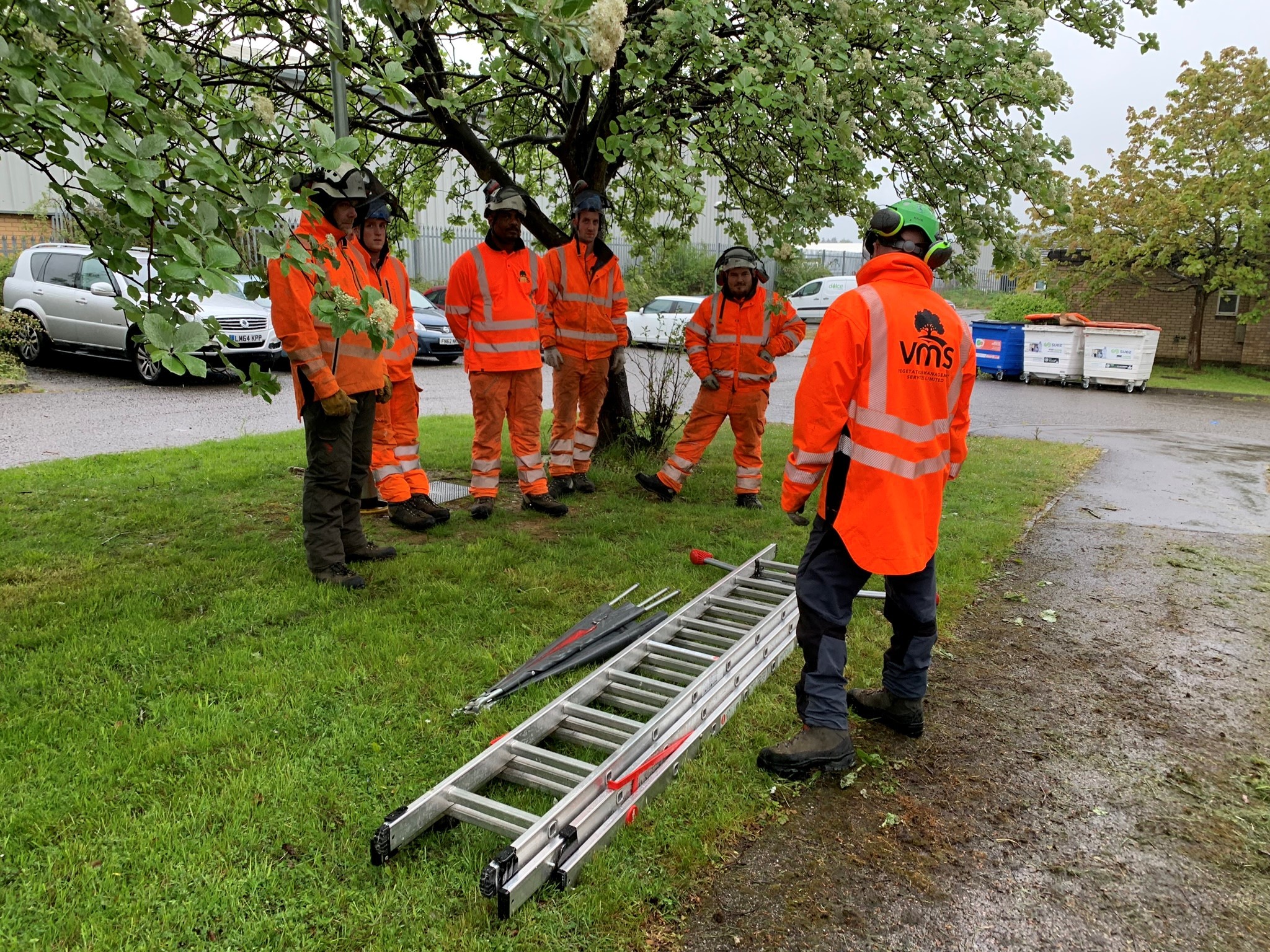 Ladder Training VMT