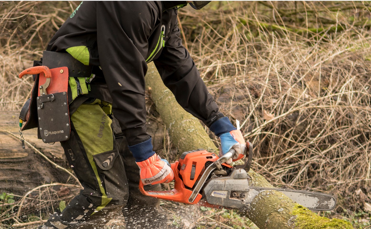Level 2 Award in Chainsaw Maintenance, Cross Cutting and Level 2