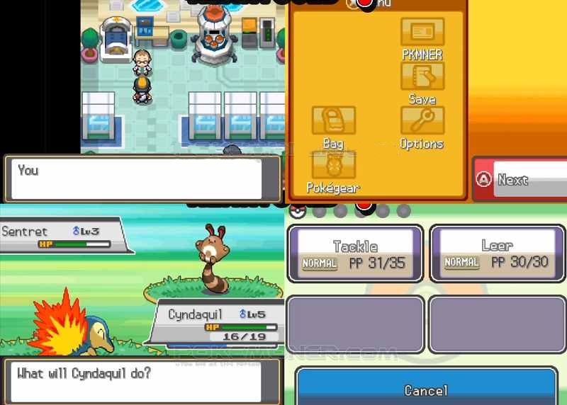 Pokemon Heart Gold ( NDS ) vnGAME