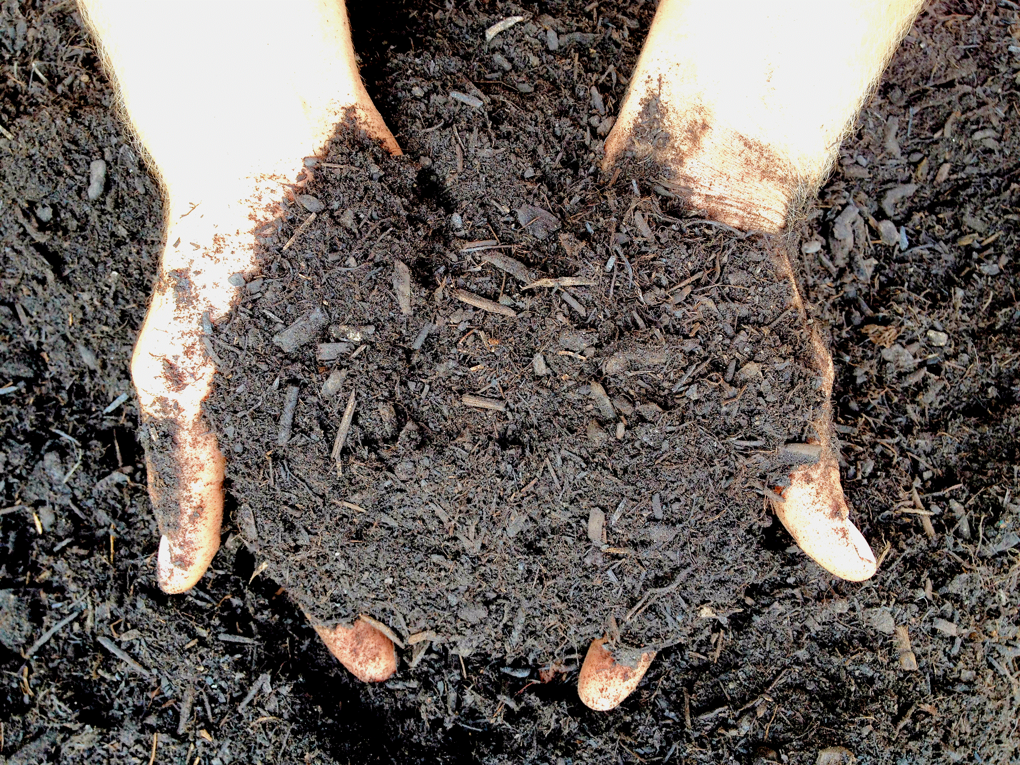 Products V&P's Topsoil London Topsoil, landscaping, landscape, sod