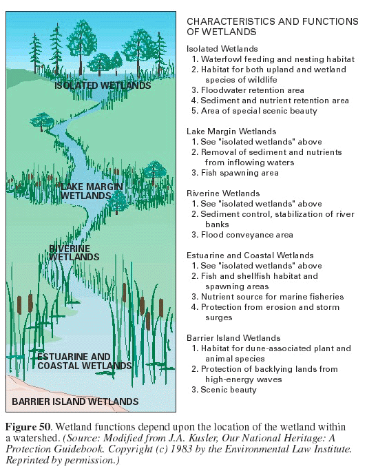 Wetlands Vermont Natural Resources Council