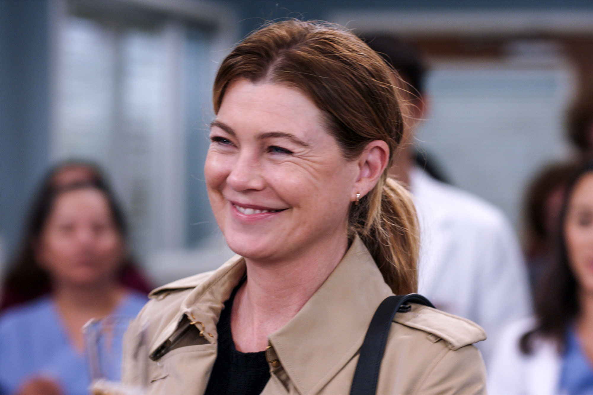 Grey’s Anatomy Meredith Grey’s Career Timeline, Explained Daily News