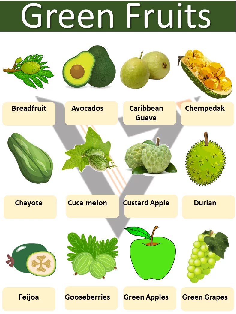 List of Green Fruits with Pictures Vocabrary Vocabrary