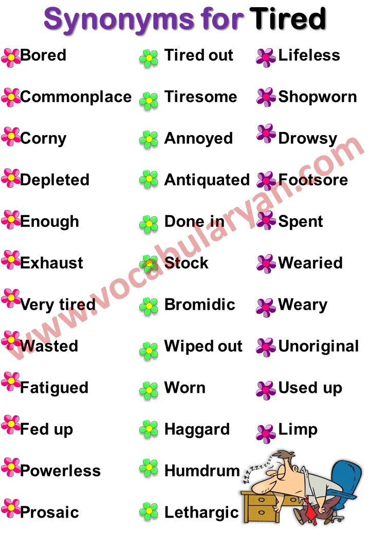List of Different Words of Synonyms VocabularyAN