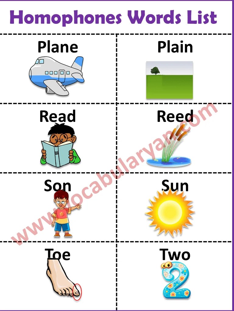 150 Homophones Words List with Examples PDF VocabularyAN