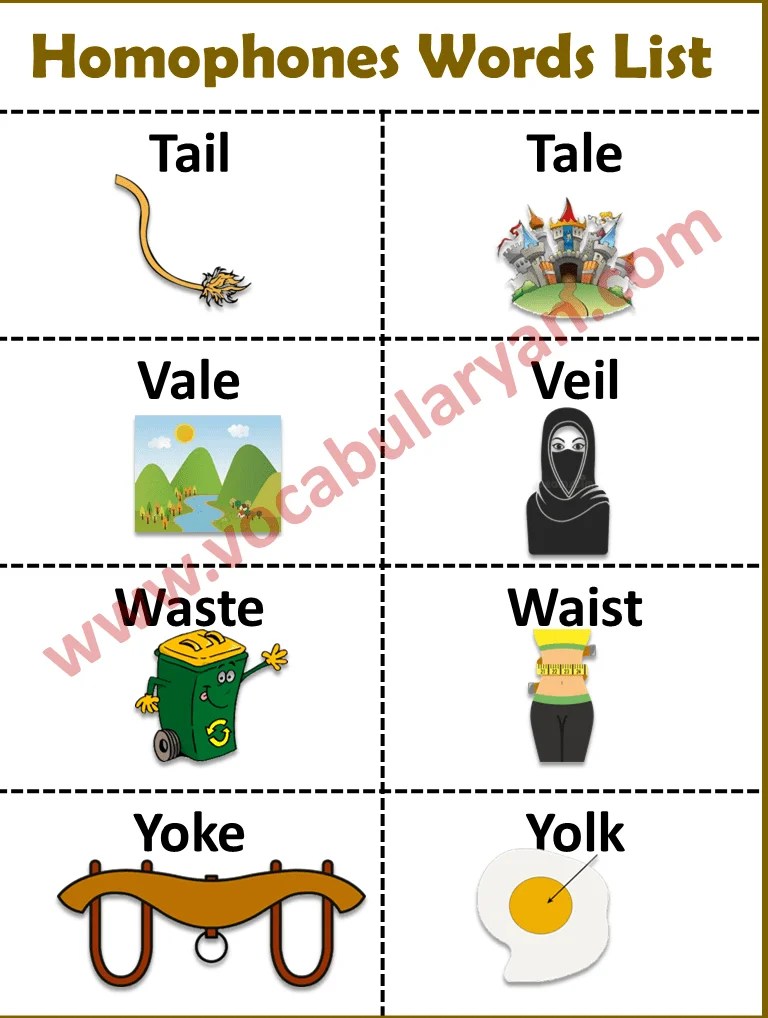 150 Homophones Words List with Examples PDF VocabularyAN